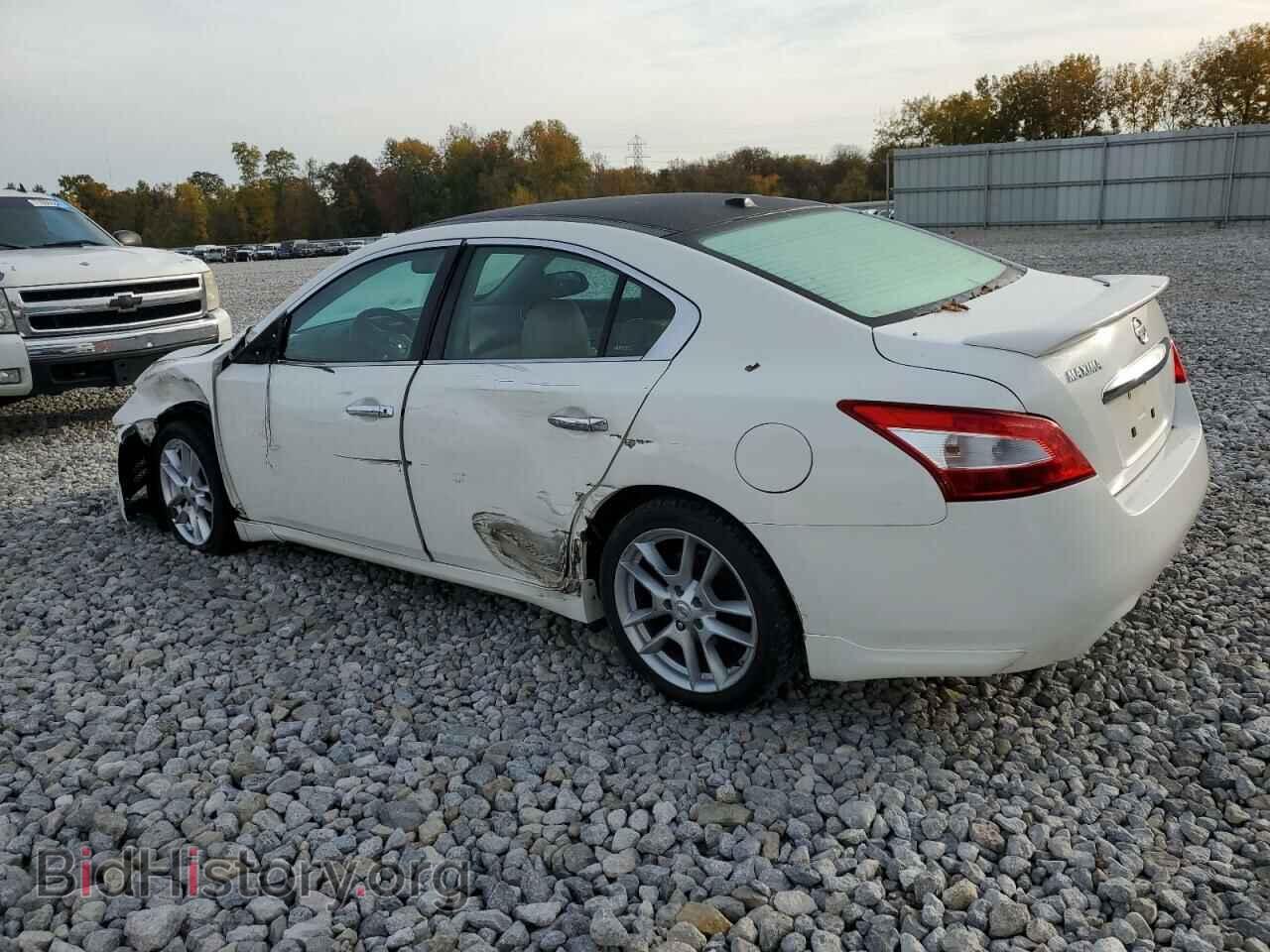 2011 NISSAN MAXIMA - VIN: 1N4AA5AP9BC863381 - Фото 2