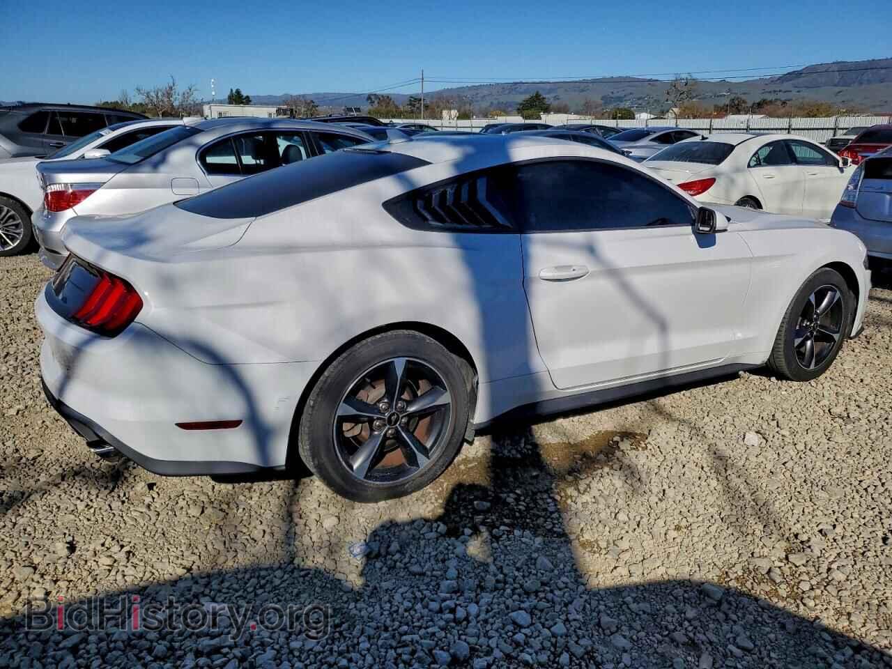 2020 FORD ALL Models - VIN: 1FA6P8TH4L5142807 - Фото 3