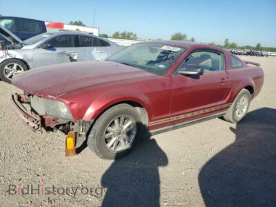2006 Ford ALL MODELS, red — VIN 1ZVFT80N765191128, Copart