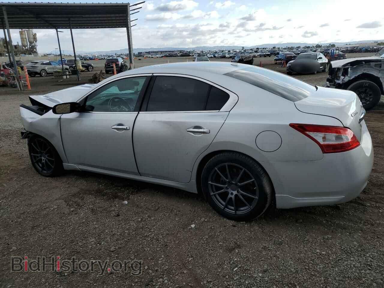 2010 NISSAN MAXIMA - VIN: 1N4AA5AP1AC839686 - Фото 2