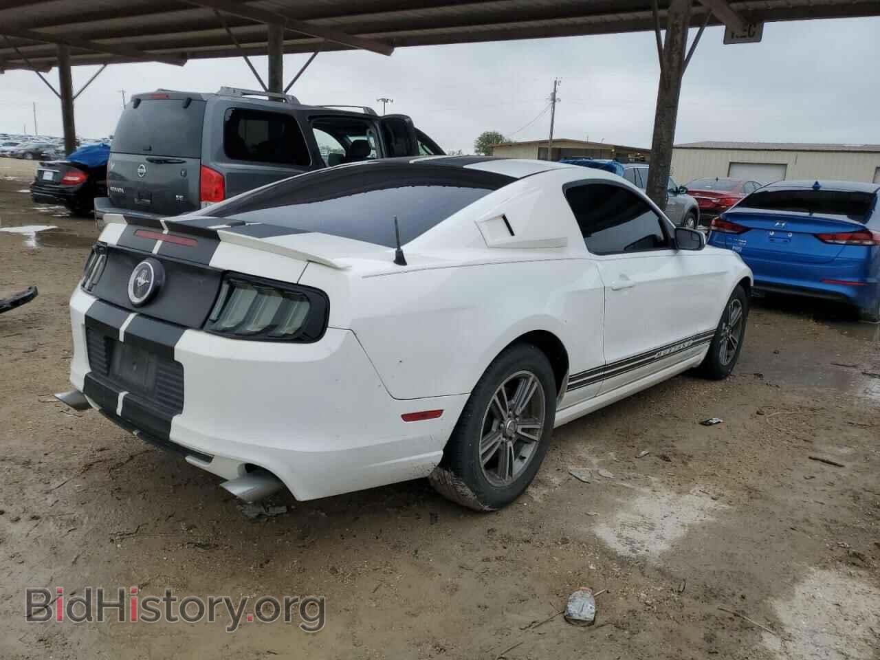 2013 FORD ALL Models - VIN: 1ZVBP8AMXD5217341 - Фото 3