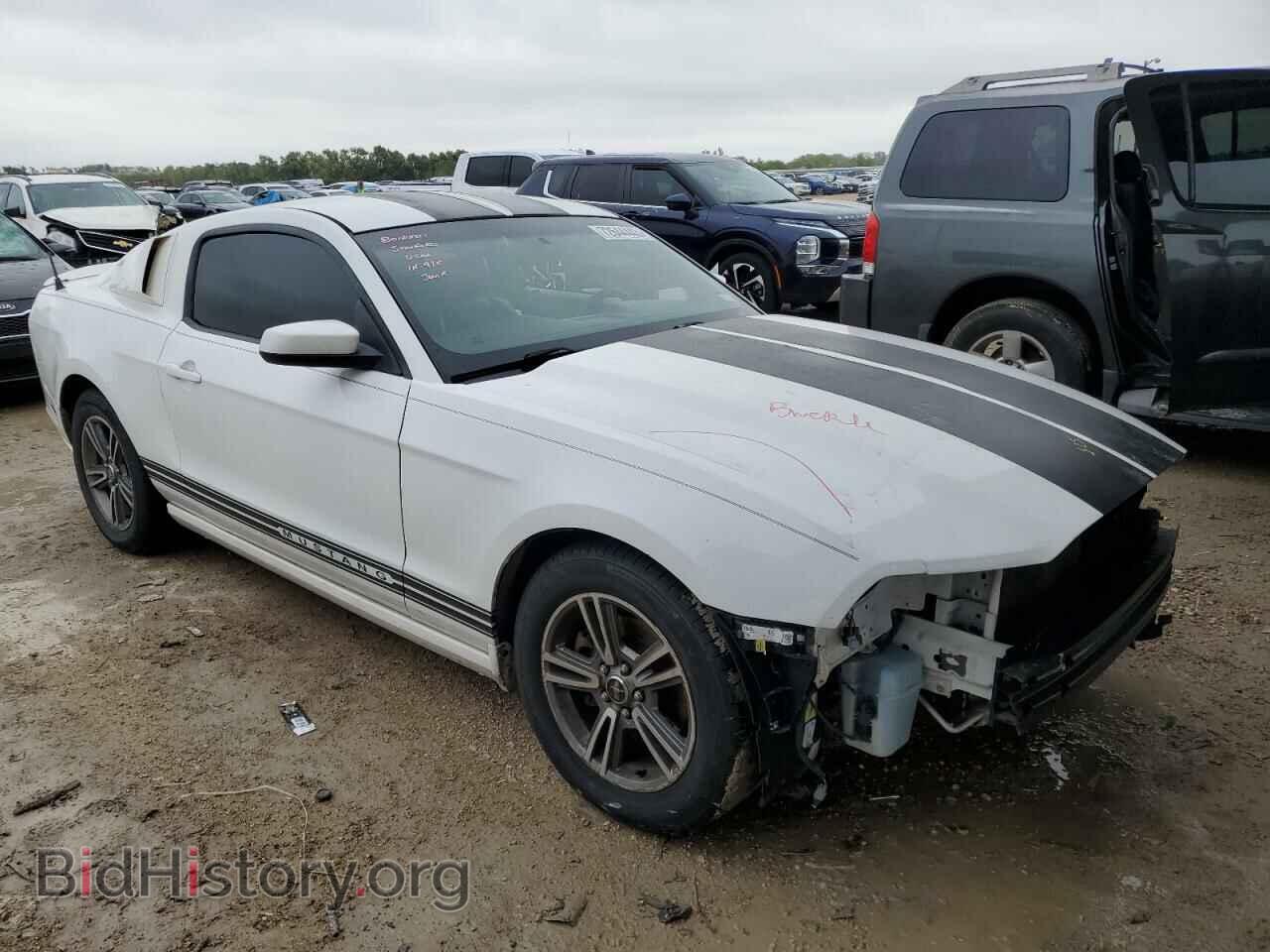 2013 FORD ALL Models - VIN: 1ZVBP8AMXD5217341 - Фото 4