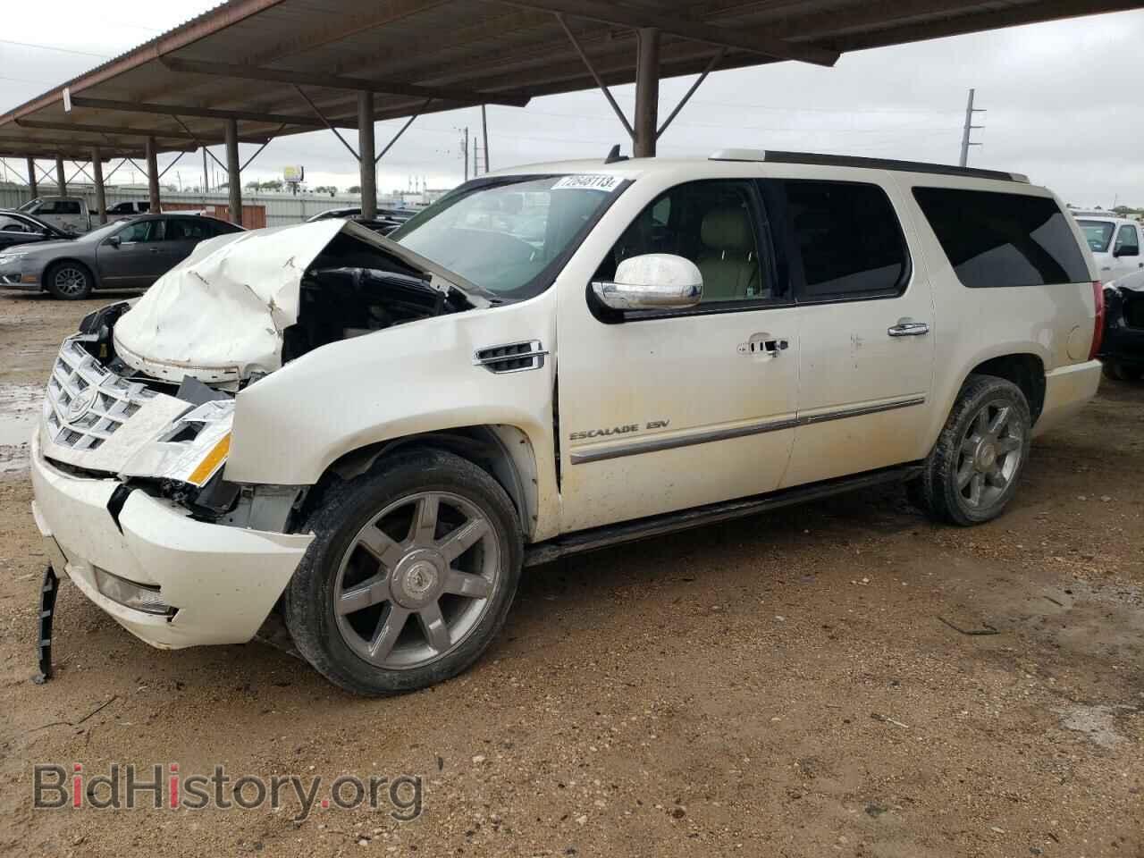 Photo 1GYS4JEF4BR236434 - CADILLAC ESCALADE 2011