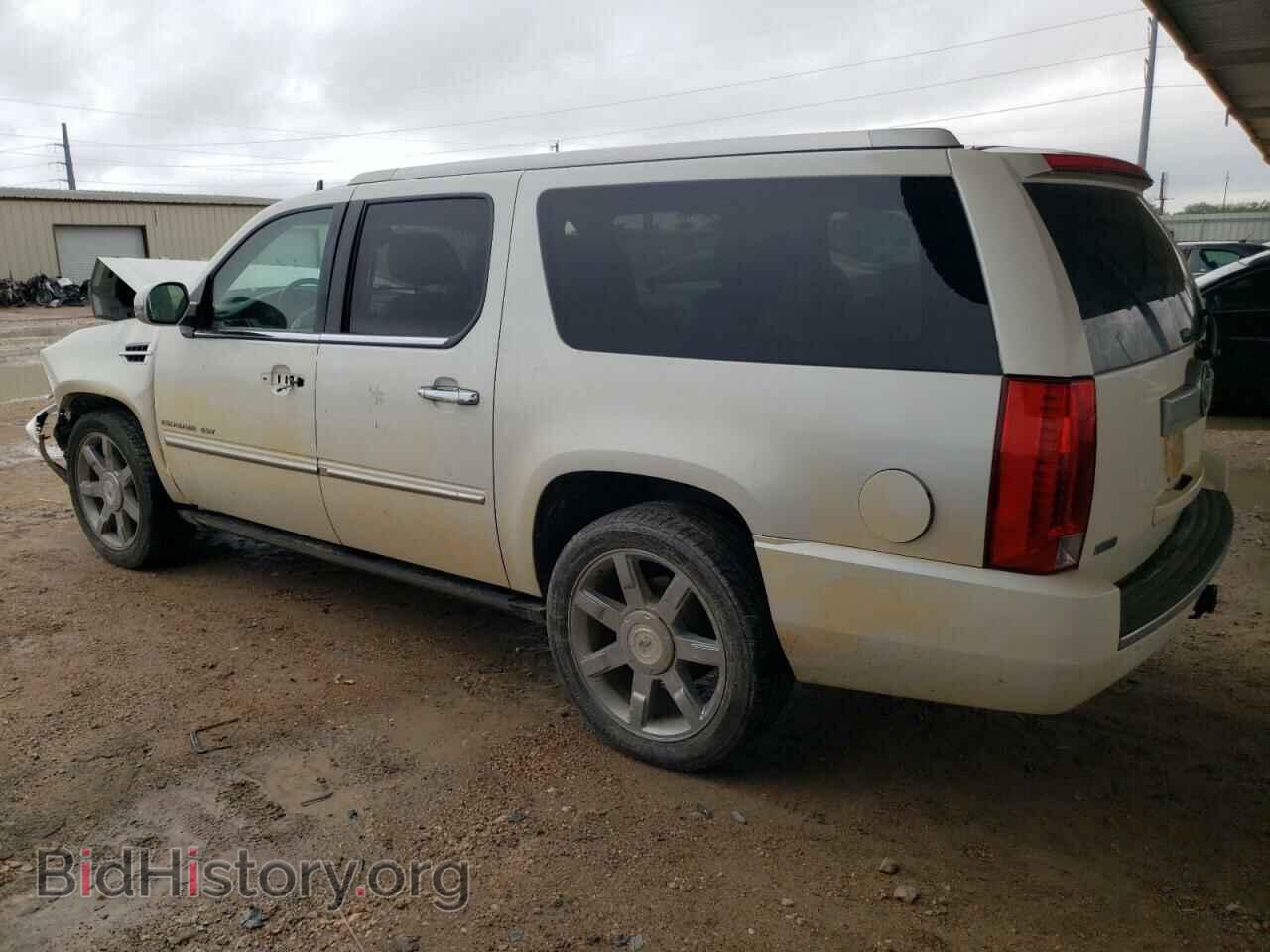 2011 CADILLAC ESCALADE - VIN: 1GYS4JEF4BR236434 - Photo 2