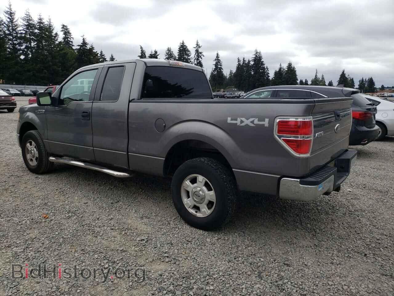 2009 FORD F-150 - VIN: 1FTPX14V09FA84904 - Фото 2