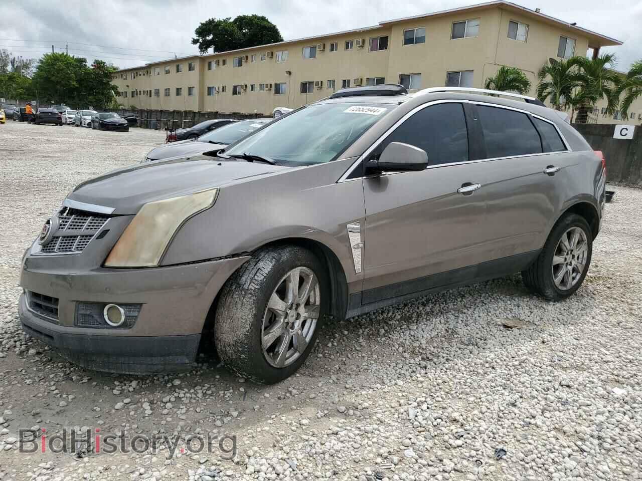 Photo 3GYFNBEY1BS616267 - CADILLAC SRX 2011