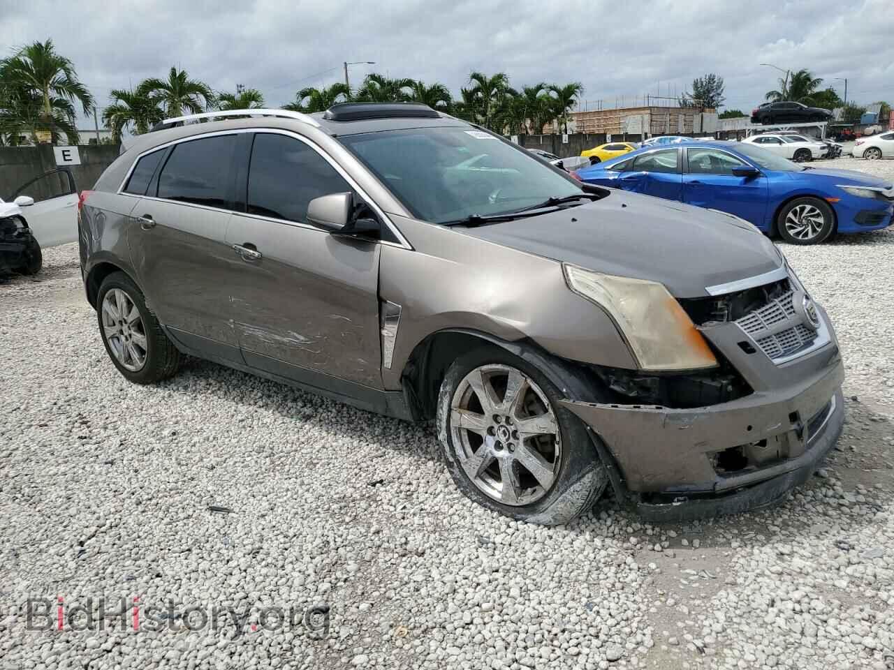 2011 CADILLAC SRX - VIN: 3GYFNBEY1BS616267 - Фото 4