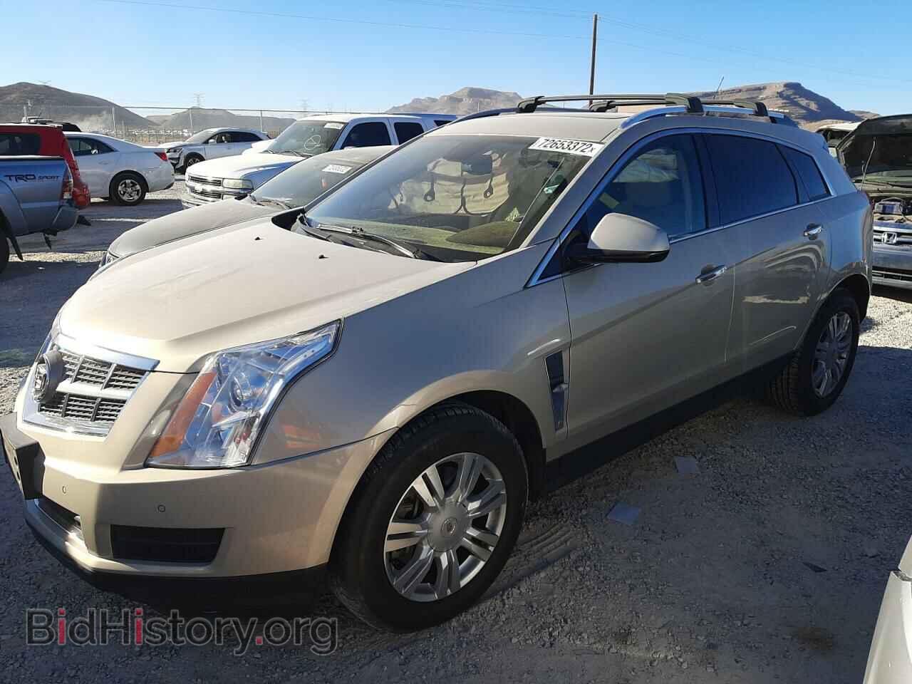 Фотография 3GYFNAEY9BS615541 - CADILLAC SRX 2011