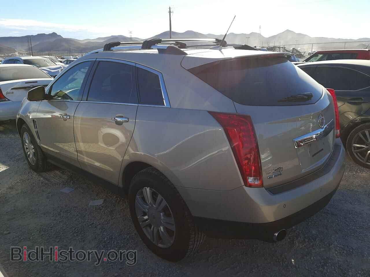 2011 CADILLAC SRX - VIN: 3GYFNAEY9BS615541 - Фото 2