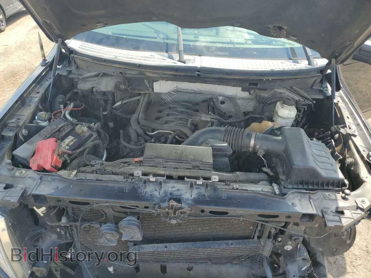 2011 FORD F-150 - VIN: 1FTFX1EF8BFC24464 - Фото 11