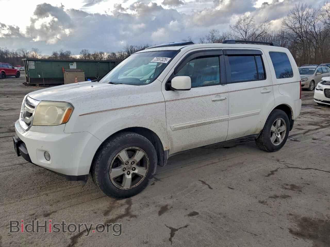 Фотография 5FNYF48619B028504 - HONDA PILOT 2009