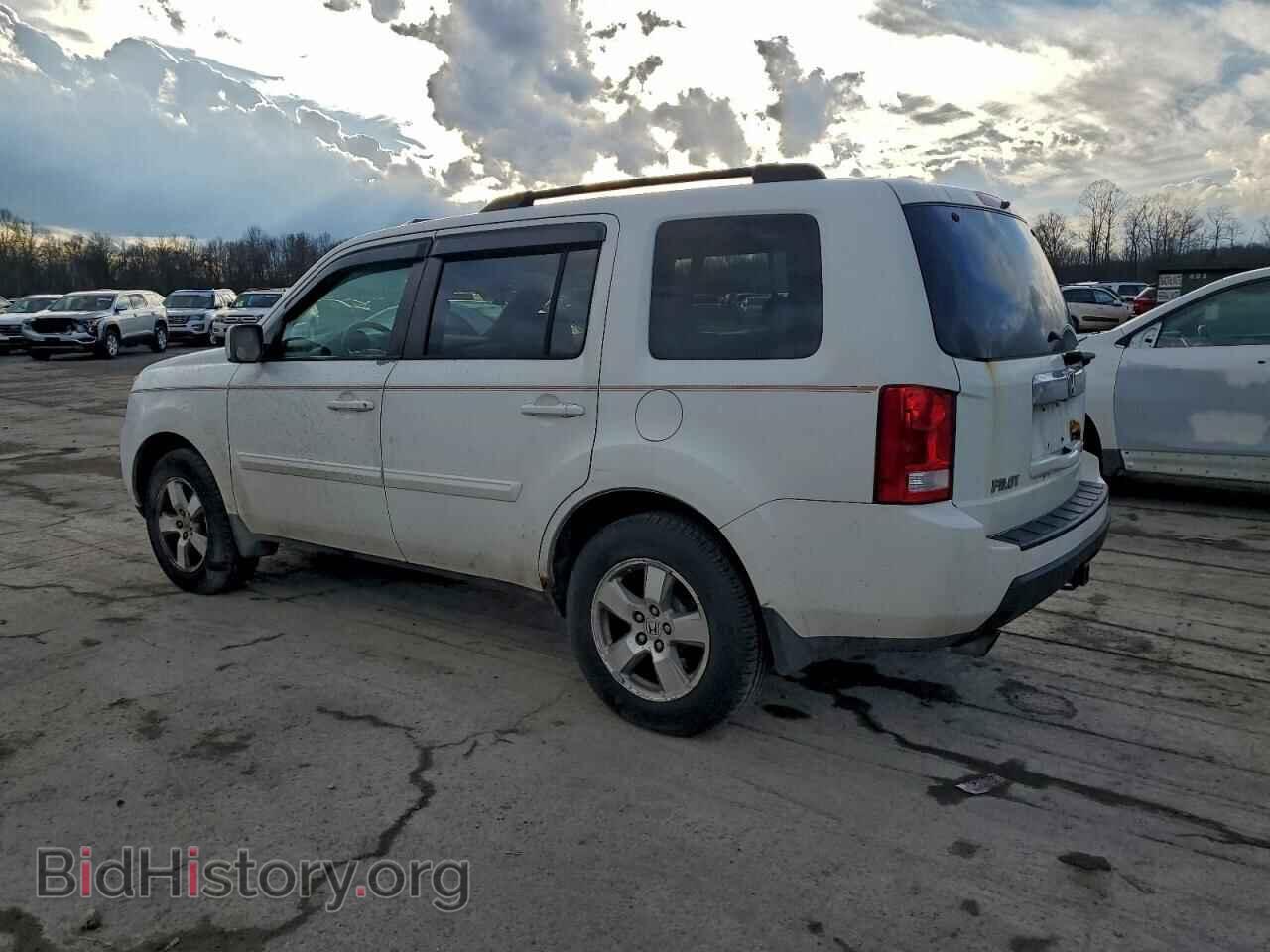 2009 HONDA PILOT - VIN: 5FNYF48619B028504 - Фото 2