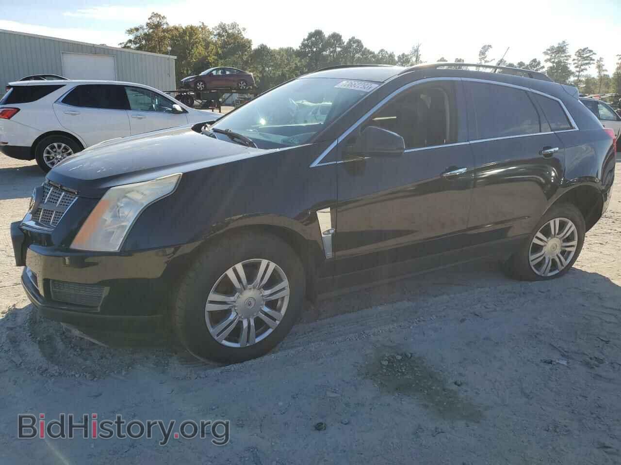 Фотография 3GYFNGEY2AS594209 - CADILLAC SRX 2010