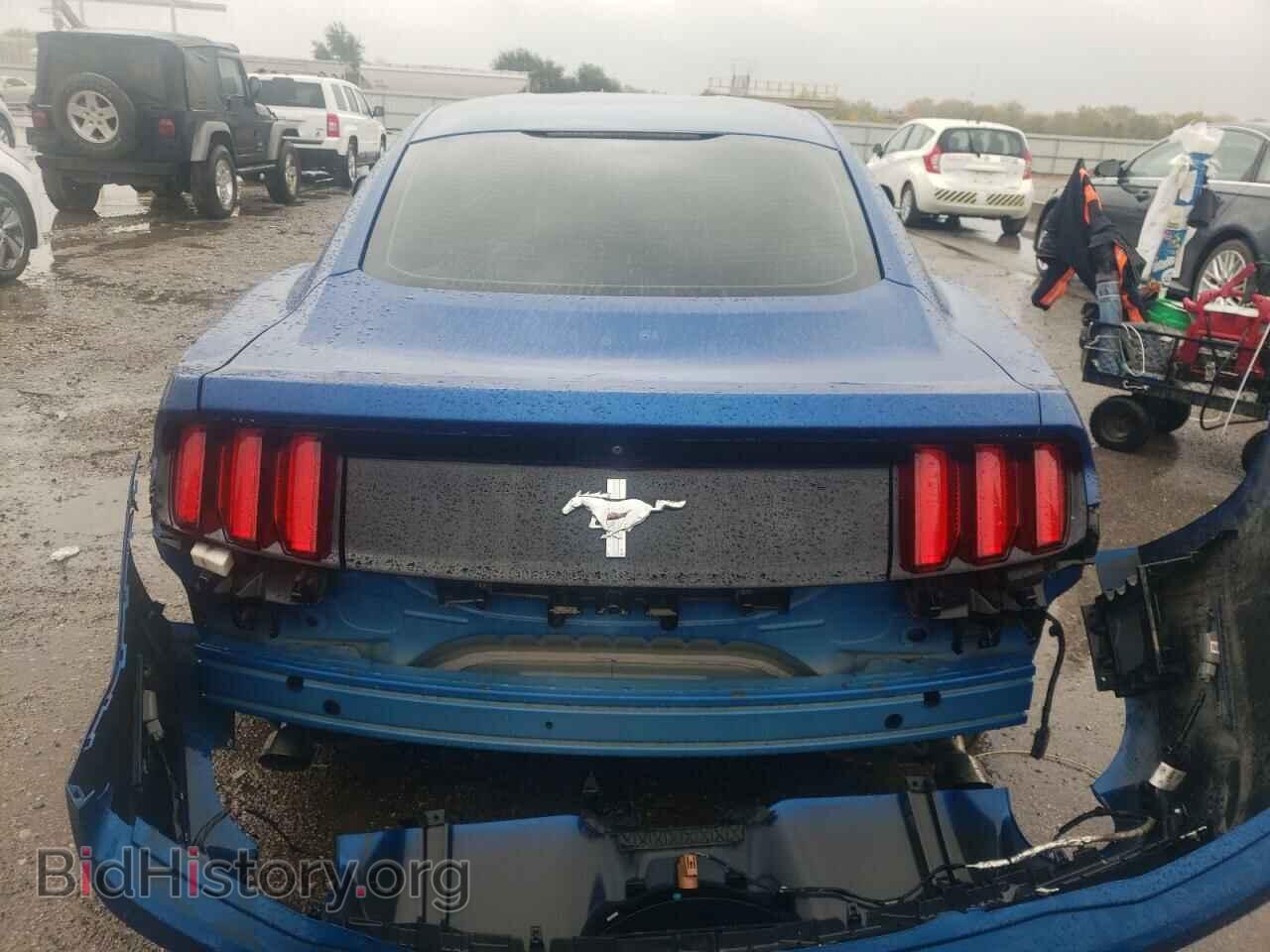 2017 FORD ALL Models - VIN: 1FA6P8AM6H5329831 - Фото 6