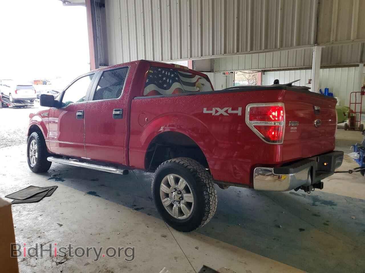 2010 FORD F-150 - VIN: 1FTFW1EV4AKE36133 - Фото 2