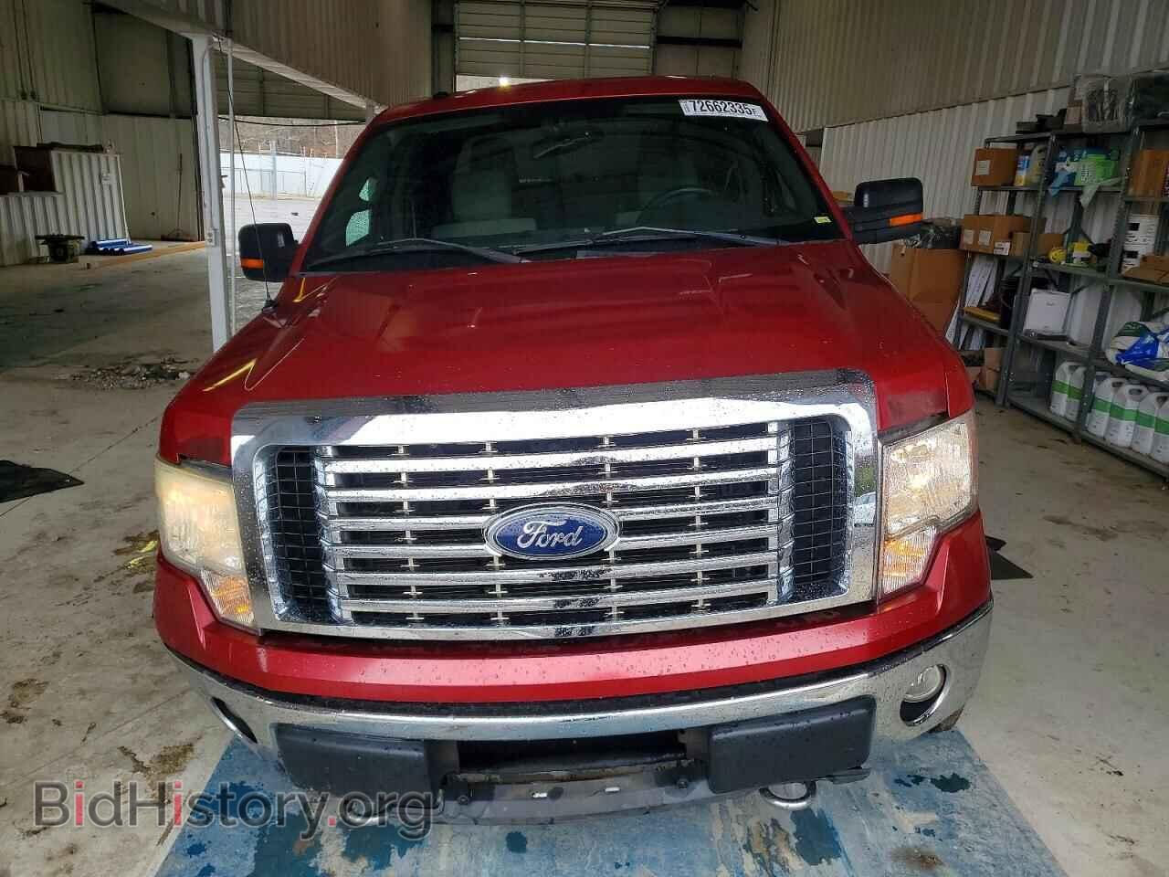2010 FORD F-150 - VIN: 1FTFW1EV4AKE36133 - Фото 5