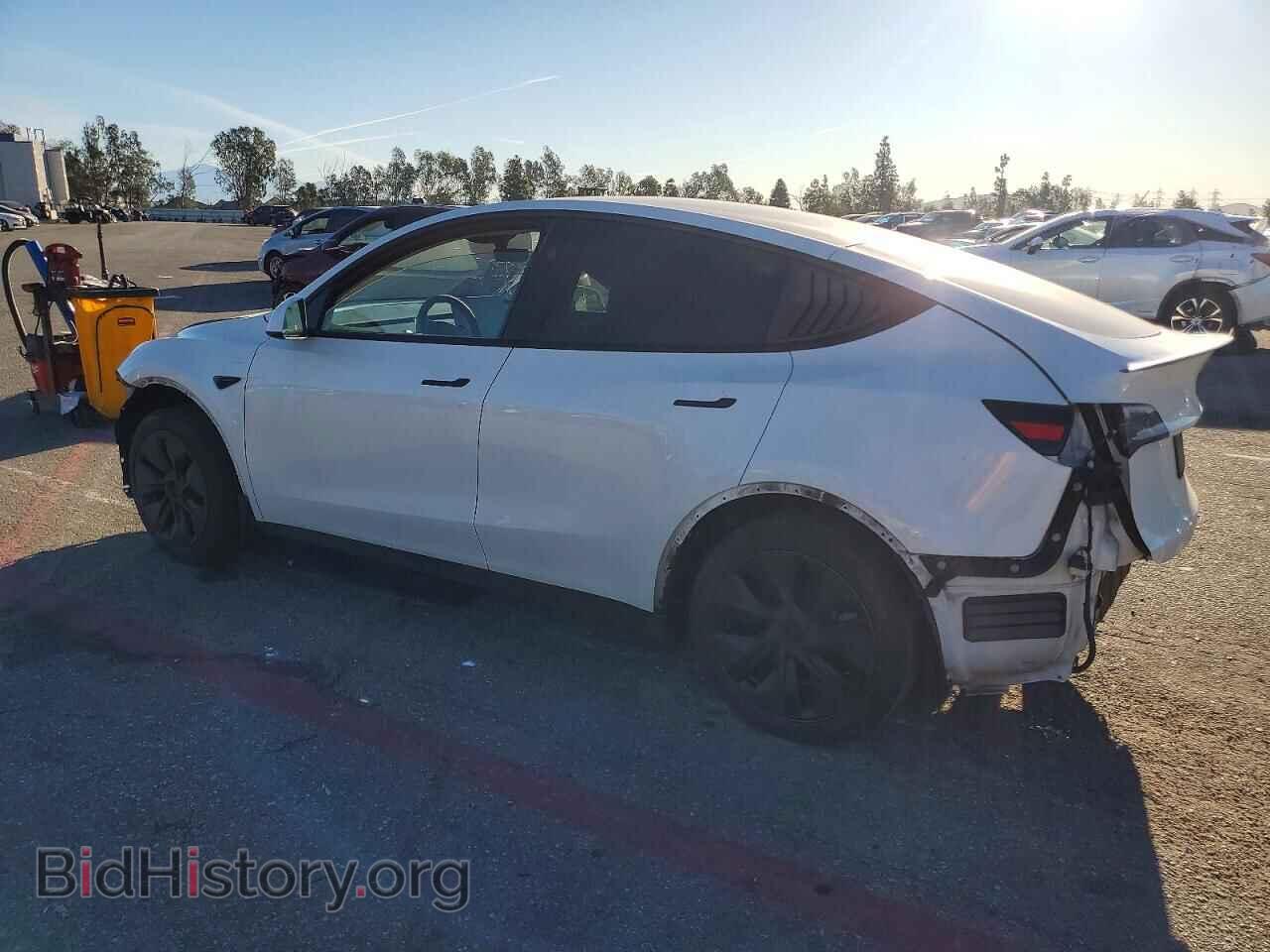 2024 TESLA MODEL Y - VIN: 7SAYGDED8RF153048 - Фото 2