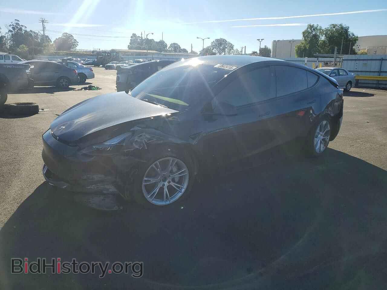 Фотография 7SAYGDEE7RF986512 - TESLA MODEL Y 2024