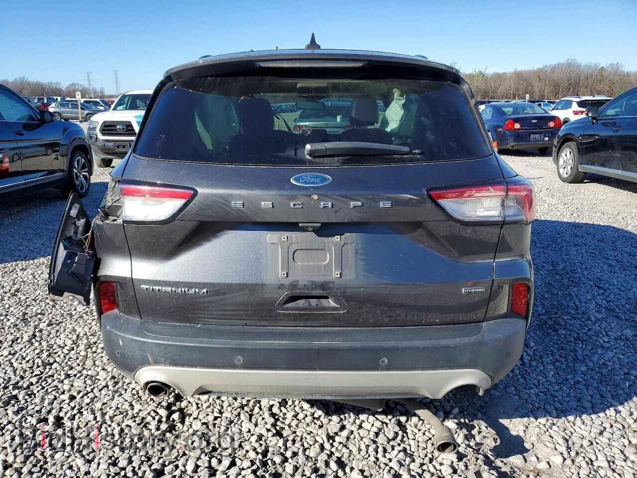 2020 FORD ESCAPE - VIN: 1FMCU0DZ2LUC49161 - Фото 6