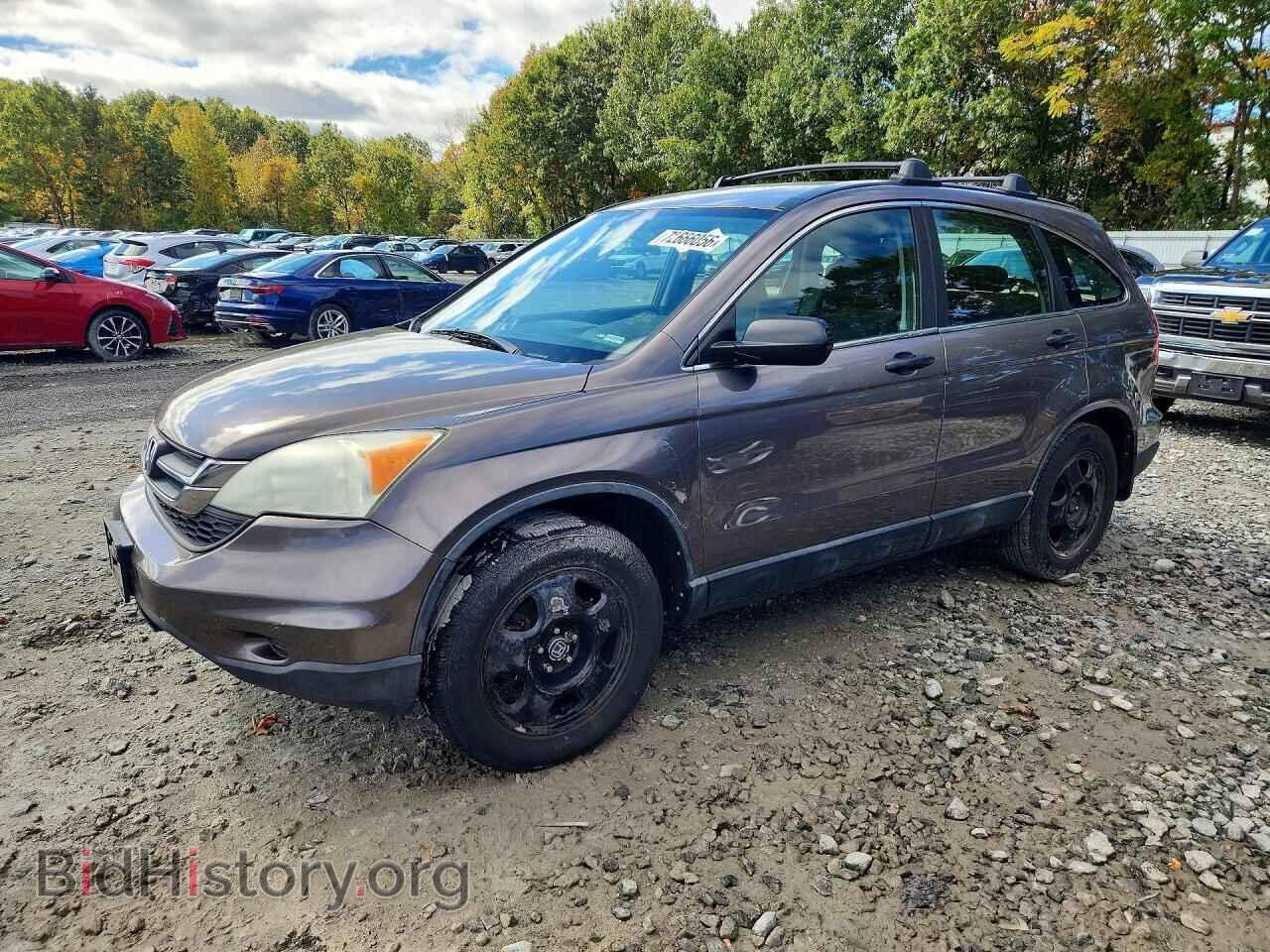 Фотография 5J6RE4H37BL032258 - HONDA CRV 2011