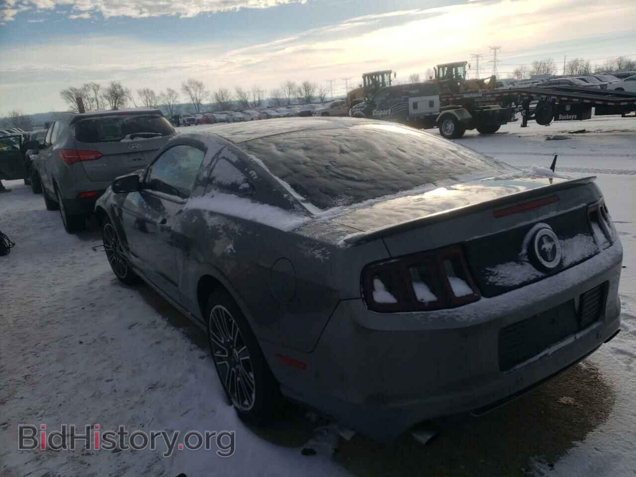 2013 FORD MUSTANG - VIN: 1ZVBP8AM4D5208778 - Фото 2
