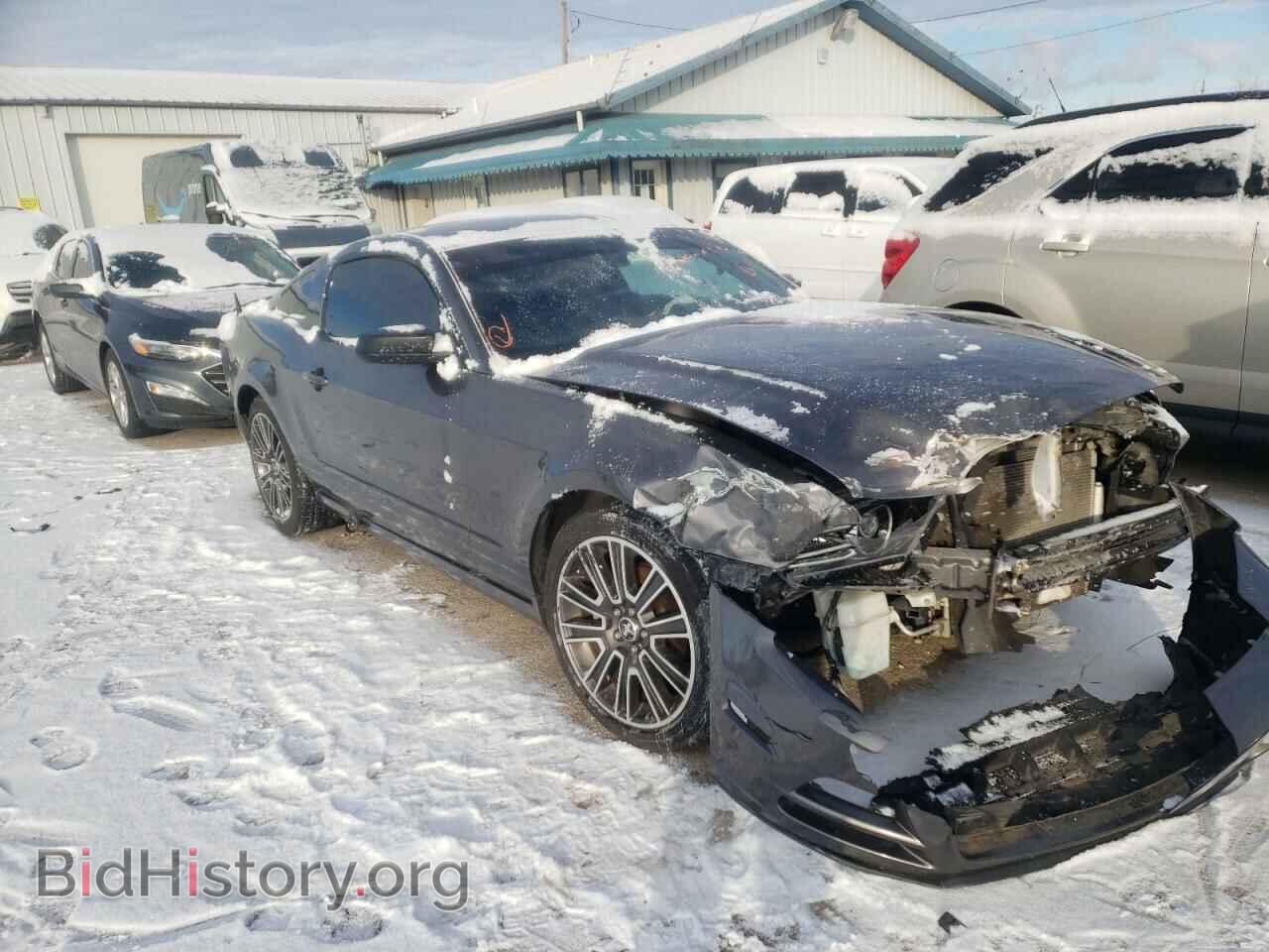 2013 FORD MUSTANG - VIN: 1ZVBP8AM4D5208778 - Фото 4
