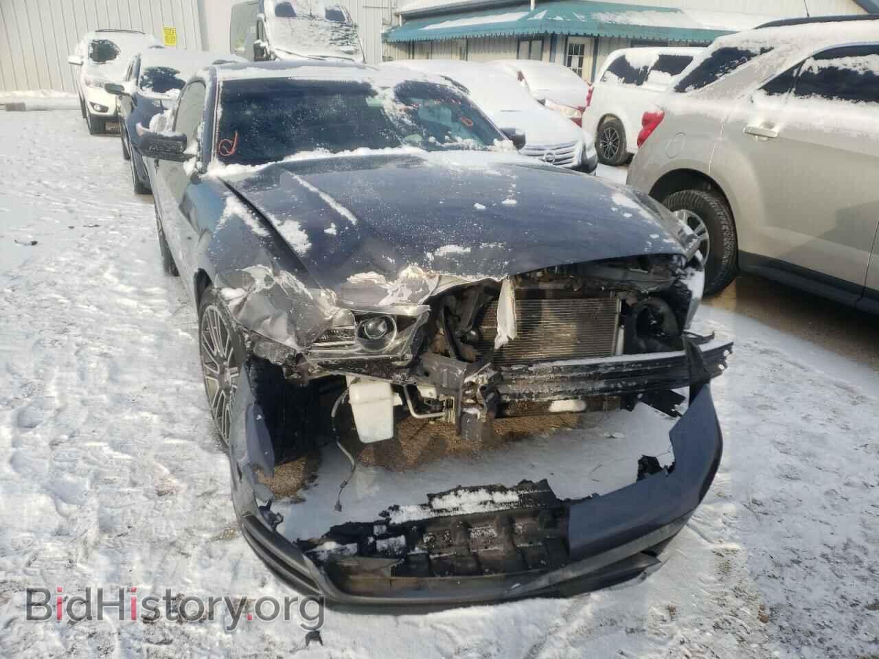 2013 FORD MUSTANG - VIN: 1ZVBP8AM4D5208778 - Фото 5