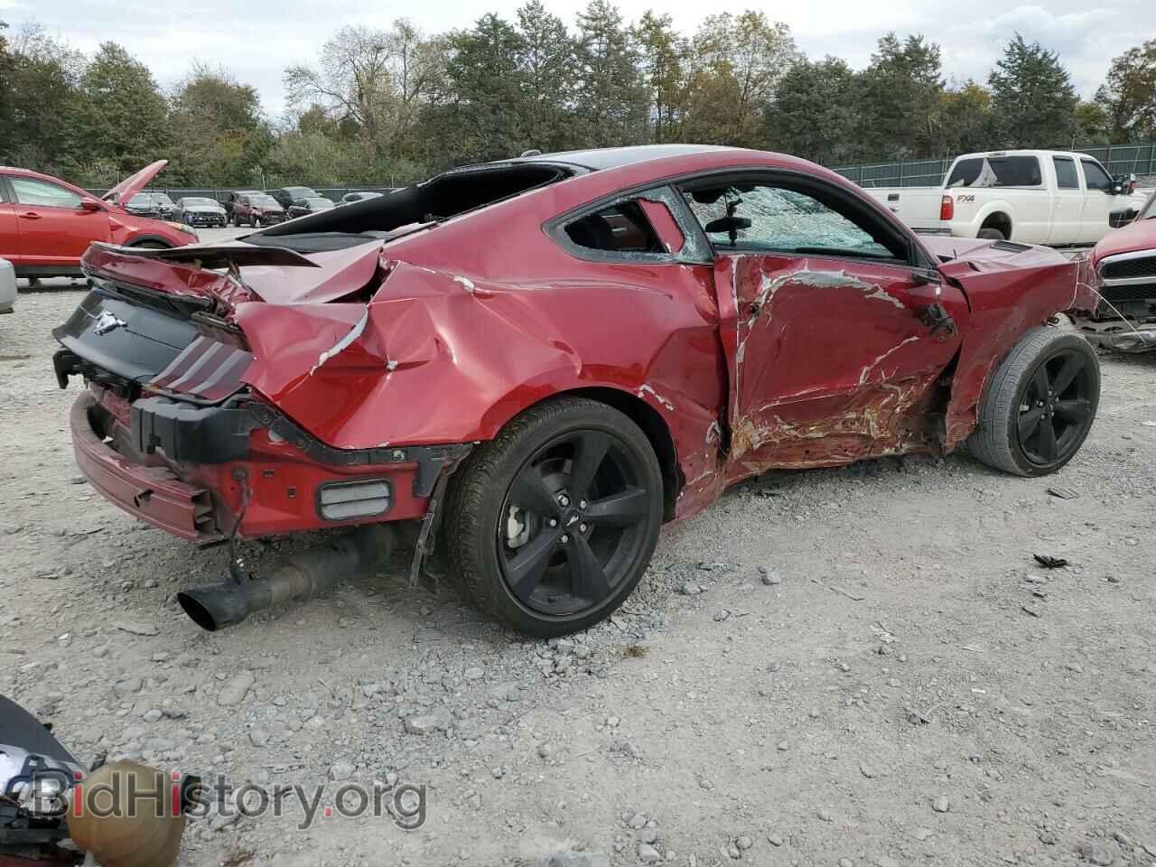 2019 FORD ALL Models - VIN: 1FA6P8TH6K5184491 - Фото 3