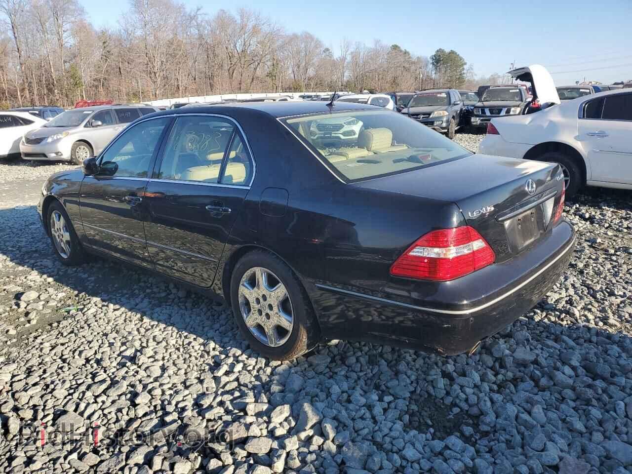2006 LEXUS LS430 - VIN: JTHBN36F465036467 - Фото 2