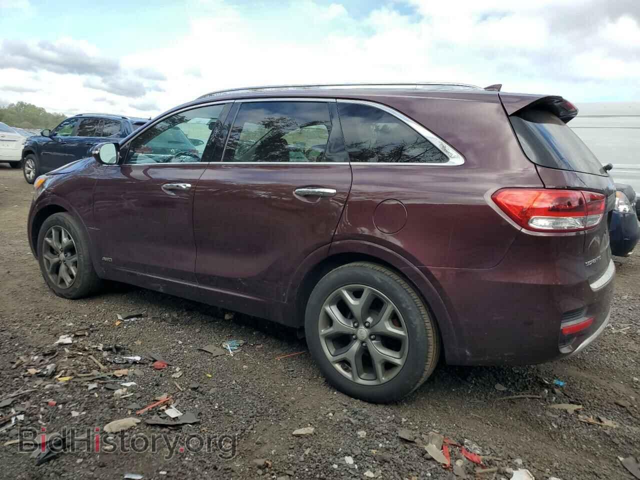 2017 KIA SORENTO - VIN: 5XYPKDA58HG196012 - Фото 2