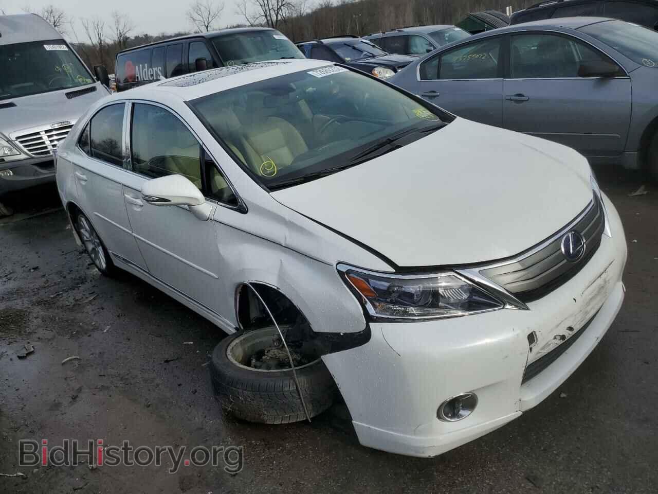 2010 LEXUS HS - VIN: JTHBB1BA2A2022813 - Фото 4