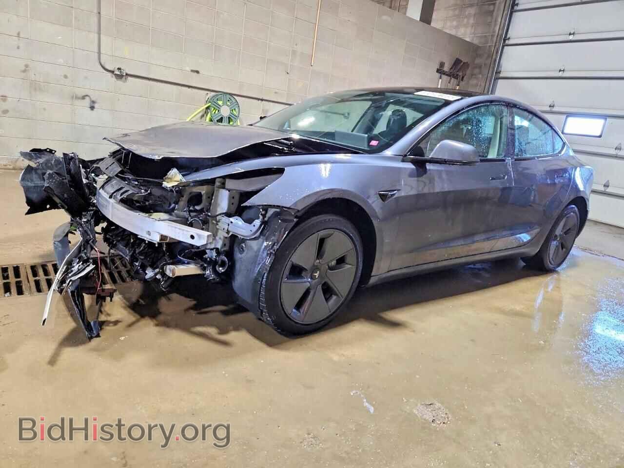 Photo 5YJ3E1EB8NF290981 - TESLA MODEL 3 2022