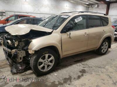2010 Toyota RAV4 RAV4 Limit, tan — VIN 2T3DK4DV1AW034762, Copart