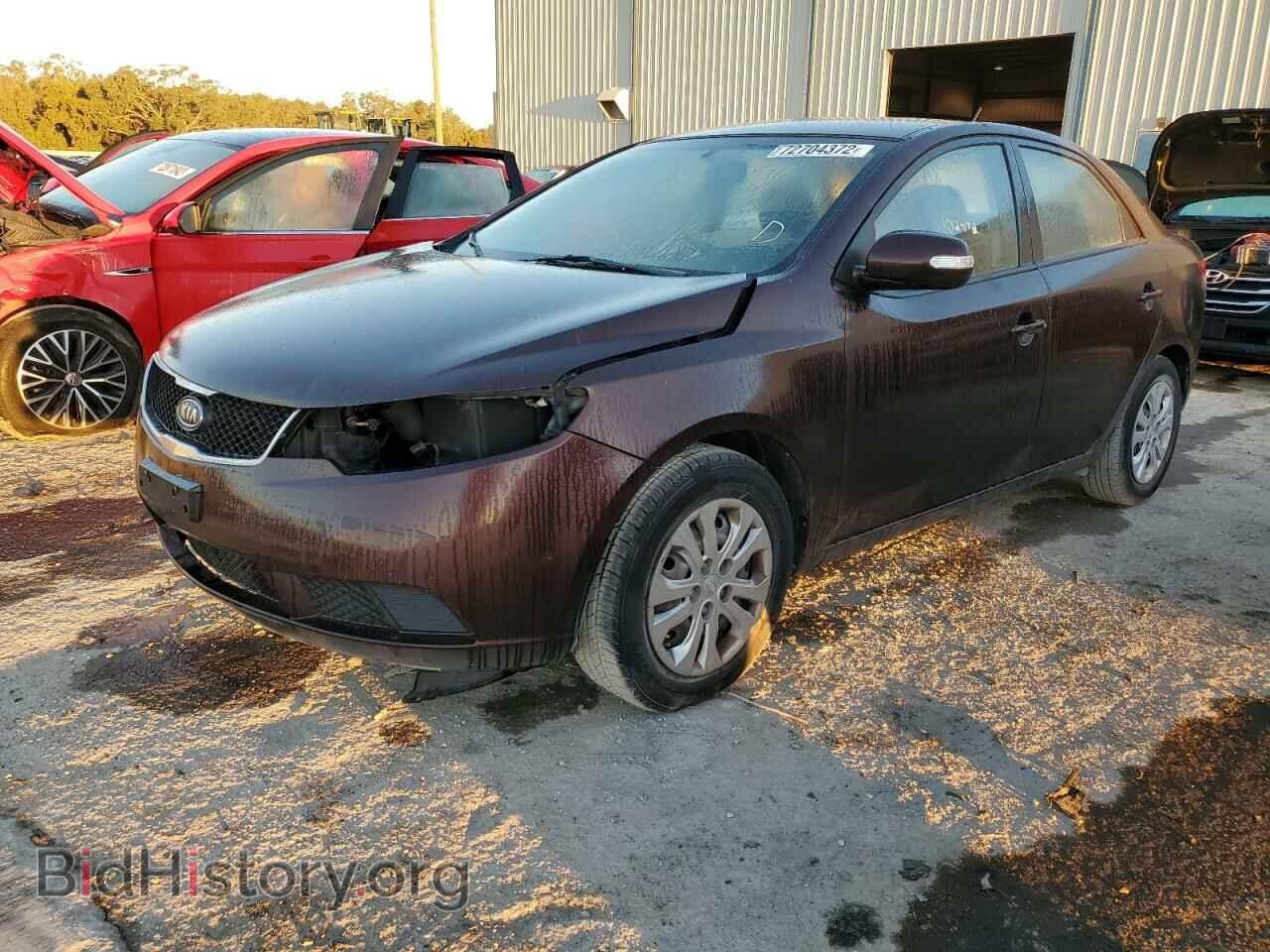 Фотография KNAFU4A29A5098873 - KIA FORTE 2010
