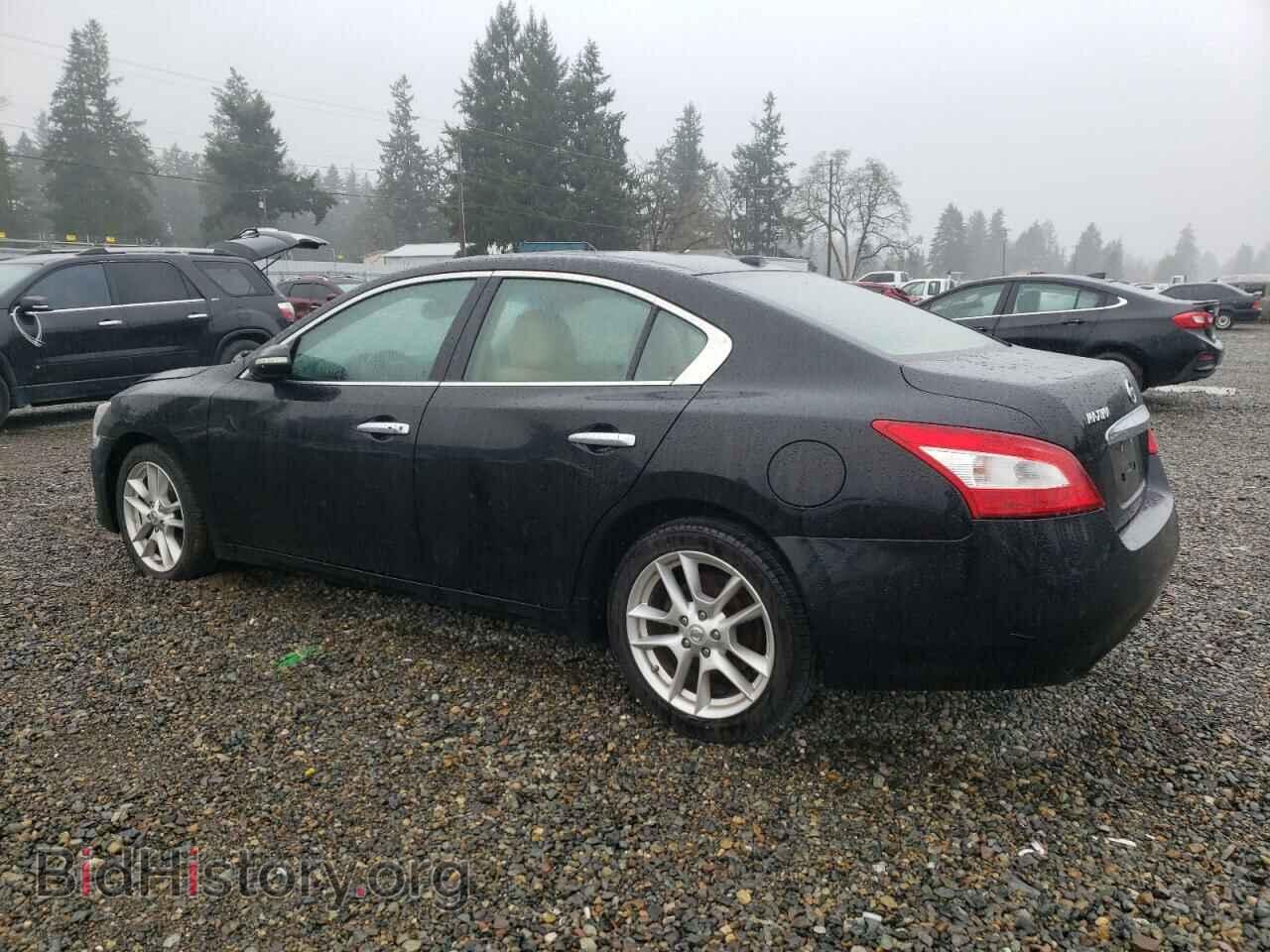 2009 NISSAN MAXIMA - VIN: 1N4AA51E99C815498 - Фото 2