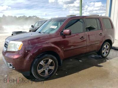 2014 Honda PILOT Pilot EXL, burgundy — VIN 5FNYF3H55EB017629, Copart