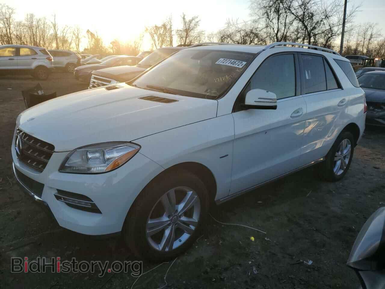 Фотография 4JGDA2EB1CA065261 - MERCEDES-BENZ M-CLASS 2012