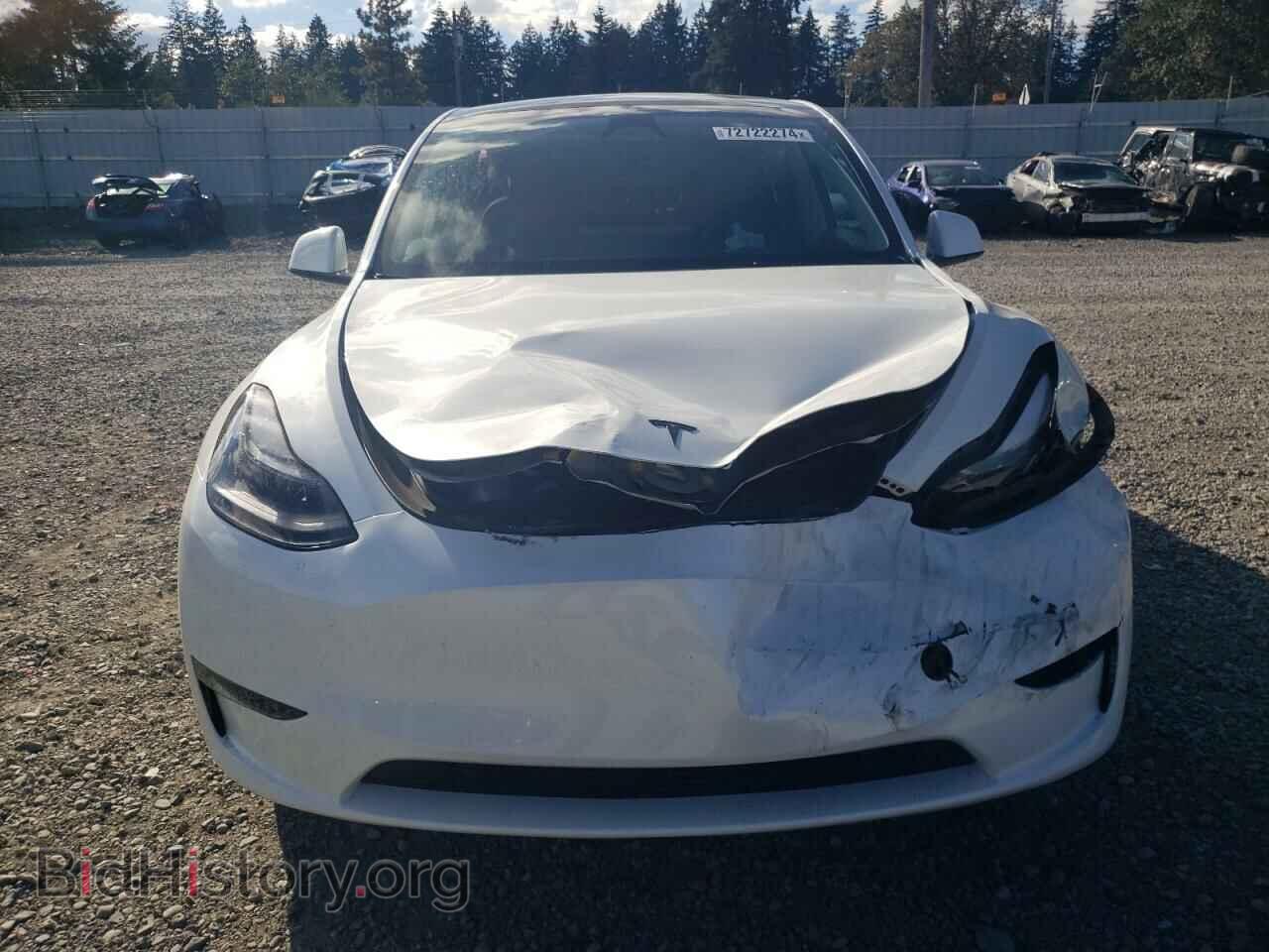 2023 TESLA MODEL Y - VIN: 7SAYGDEE4PF810742 - Фото 5