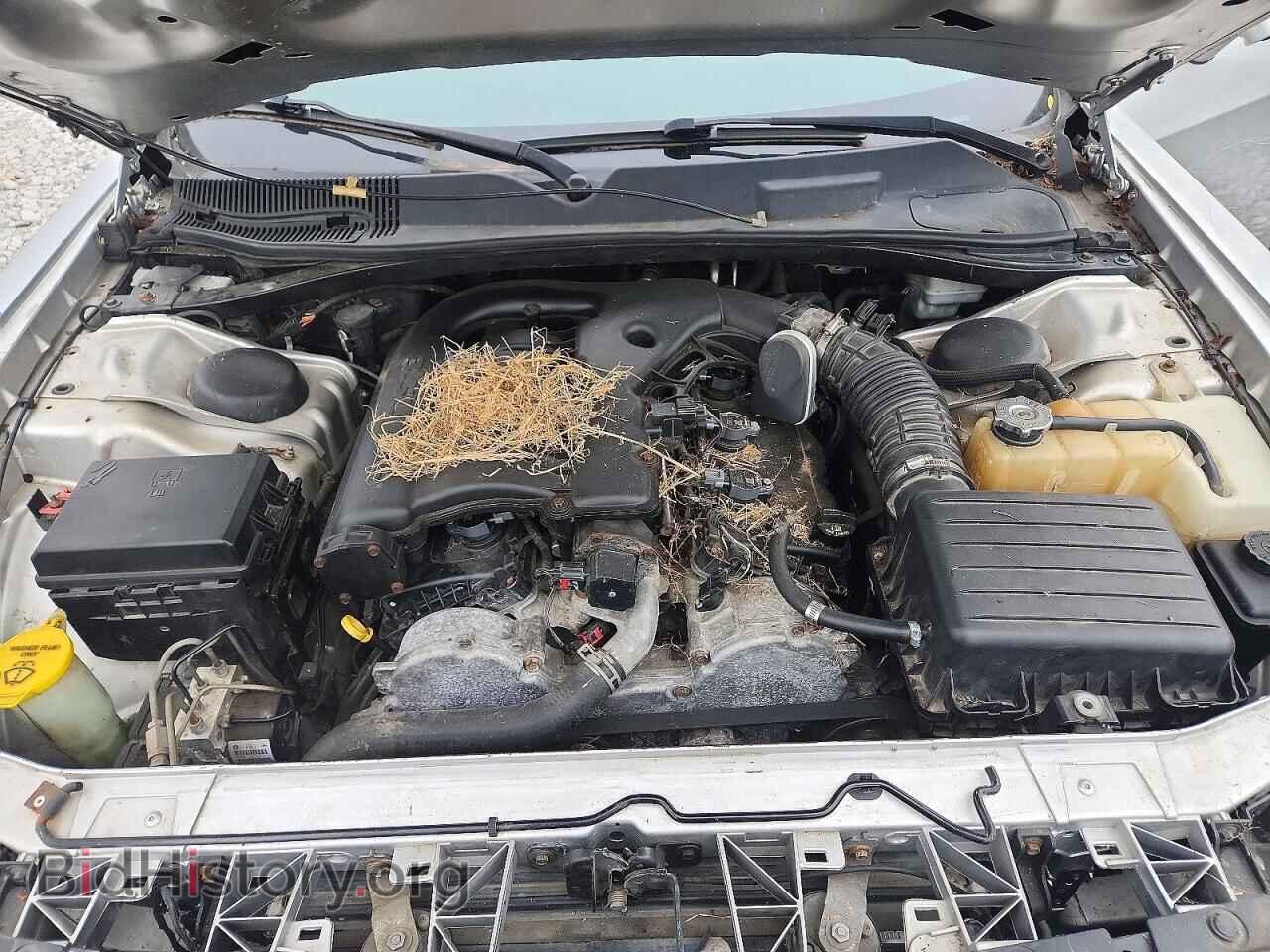 2009 DODGE CHALLENGER - VIN: 2B3LJ44V69H538221 - Фото 11