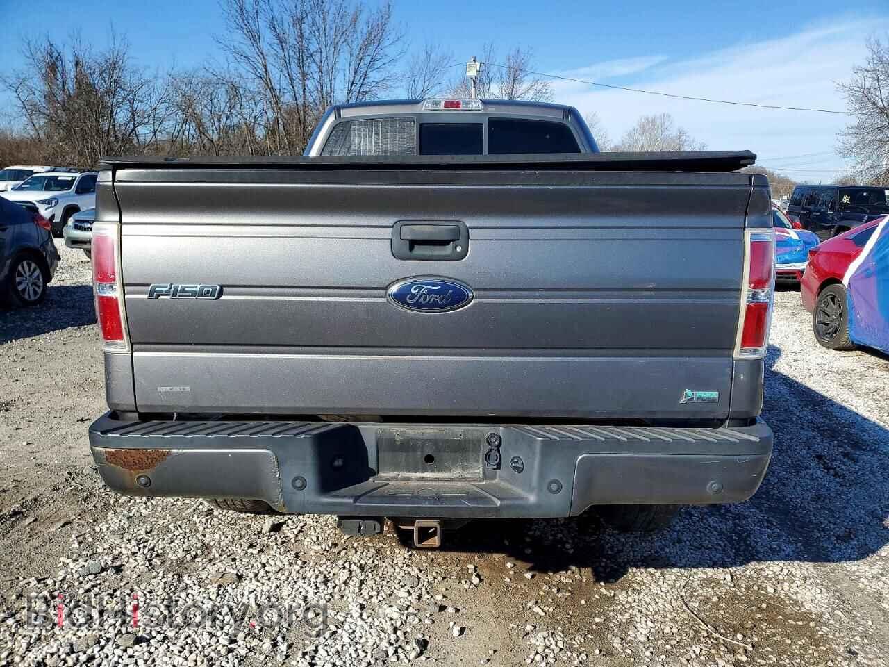 2010 FORD F-150 - VIN: 1FTFW1EV0AFA78845 - Фото 6