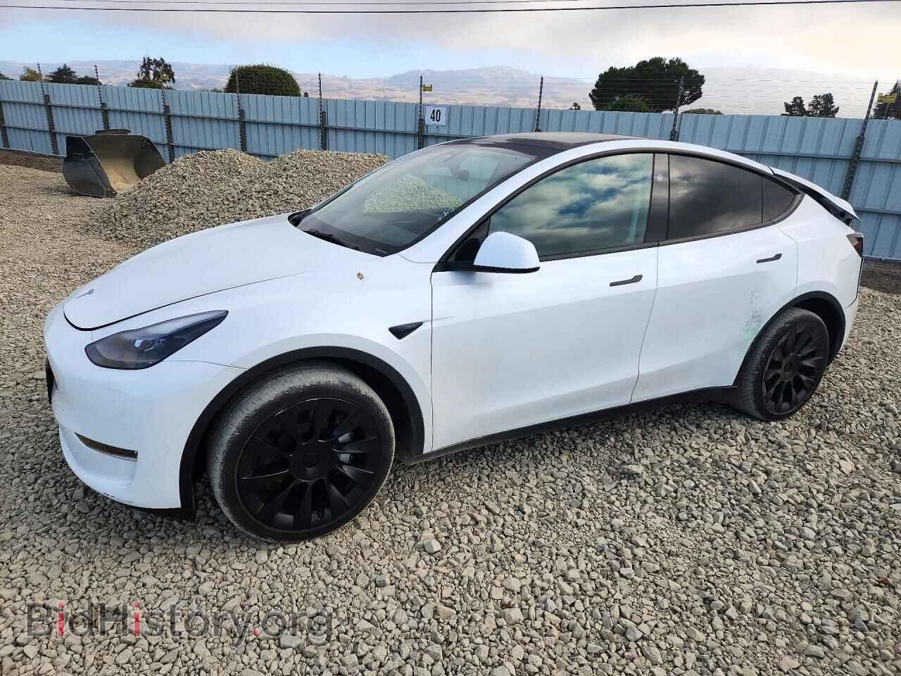 Фотография 7SAYGDEE9RA259854 - TESLA MODEL Y 2024