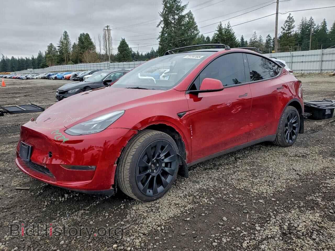 Фотография 7SAYGDEE5RF066393 - TESLA MODEL Y 2024