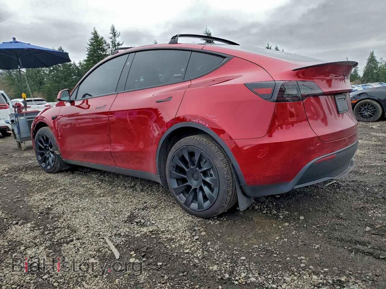 2024 TESLA MODEL Y - VIN: 7SAYGDEE5RF066393 - Фото 2
