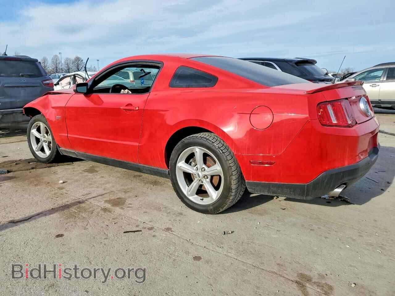 2010 FORD MUSTANG - VIN: 1ZVBP8CH2A5149984 - Фото 2