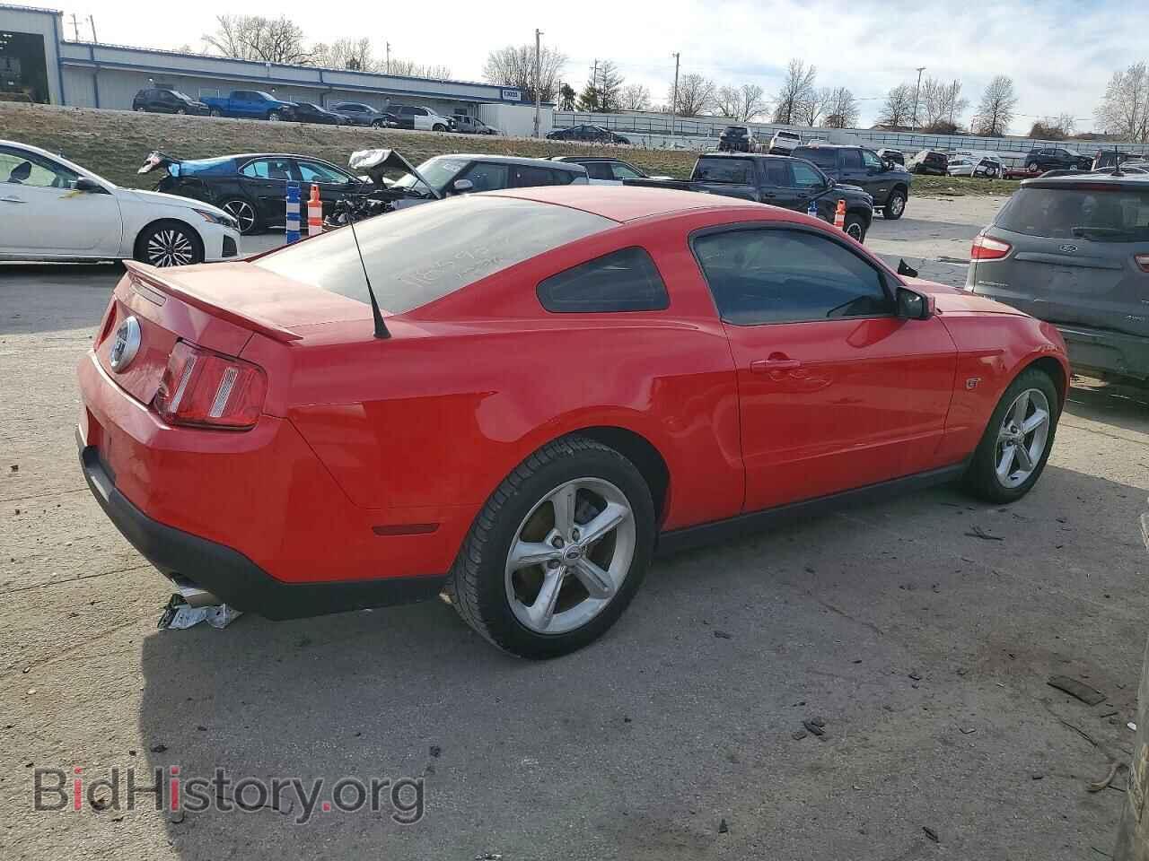 2010 FORD MUSTANG - VIN: 1ZVBP8CH2A5149984 - Фото 3