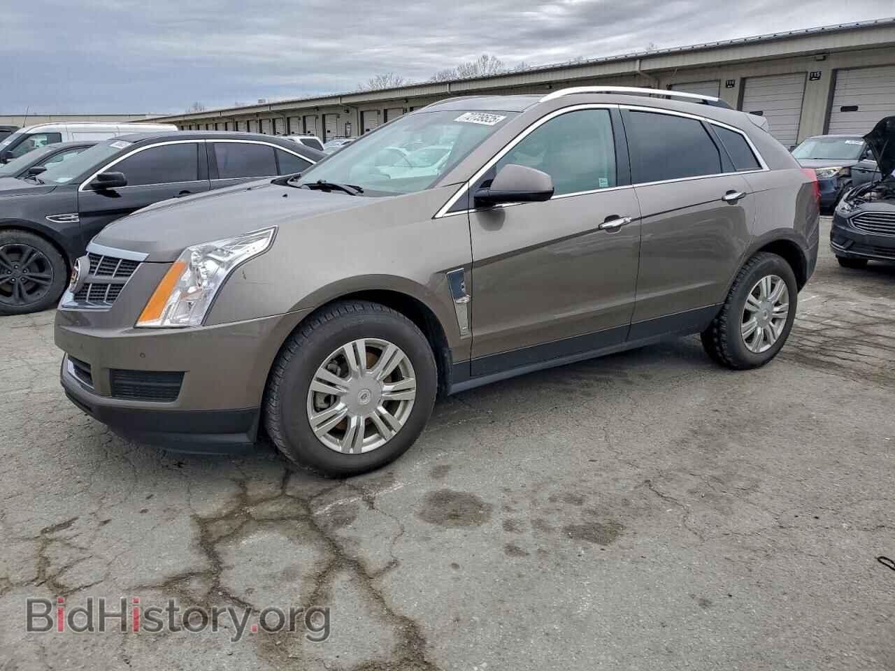 Photo 3GYFNAEY6BS672487 - CADILLAC SRX 2011