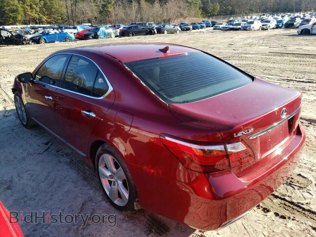 2010 LEXUS LS460 - VIN: JTHBL5EF8A5099549 - Фото 2