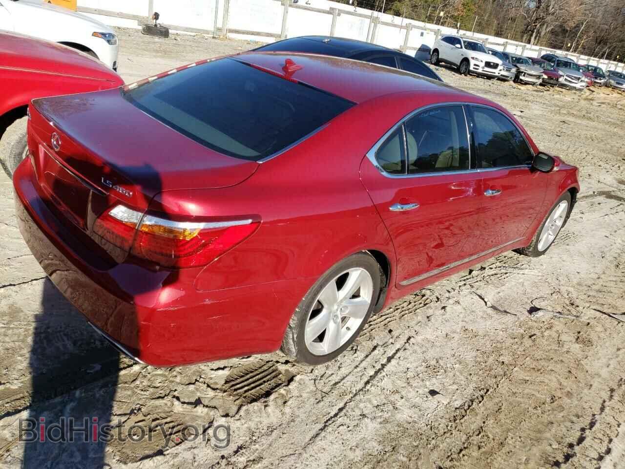 2010 LEXUS LS460 - VIN: JTHBL5EF8A5099549 - Фото 3