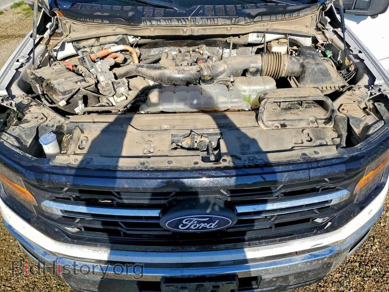 2024 FORD All Models - VIN: 1FTFW3LD2RFA55259 - Фото 11