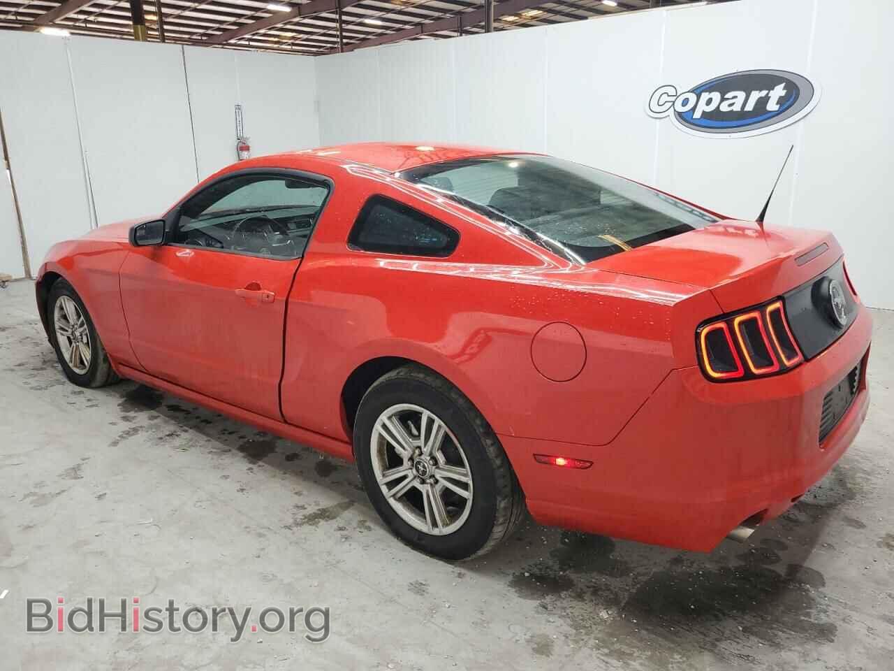2014 FORD ALL Models - VIN: 1ZVBP8AMXE5279808 - Фото 2